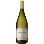 Wino białe wytrawne Terre al Monte Sauvignon DOC 13% 750ml Rivera